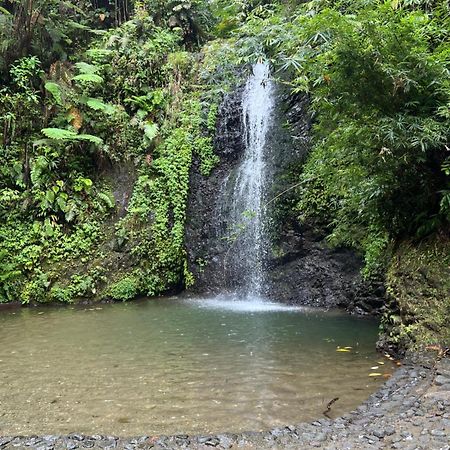 Le Ketmie Nature Et Decouverte Fond-Saint-Denis Exteriér fotografie
