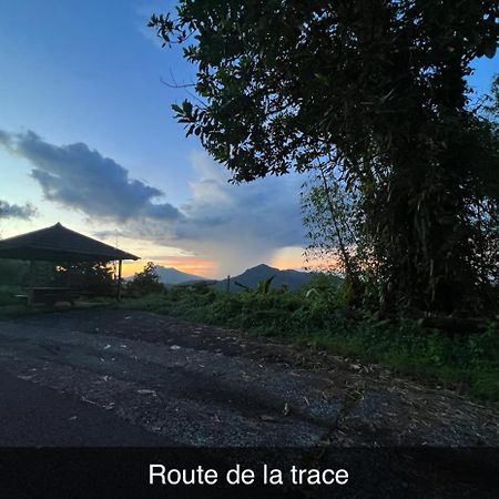 Le Ketmie Nature Et Decouverte Fond-Saint-Denis Exteriér fotografie