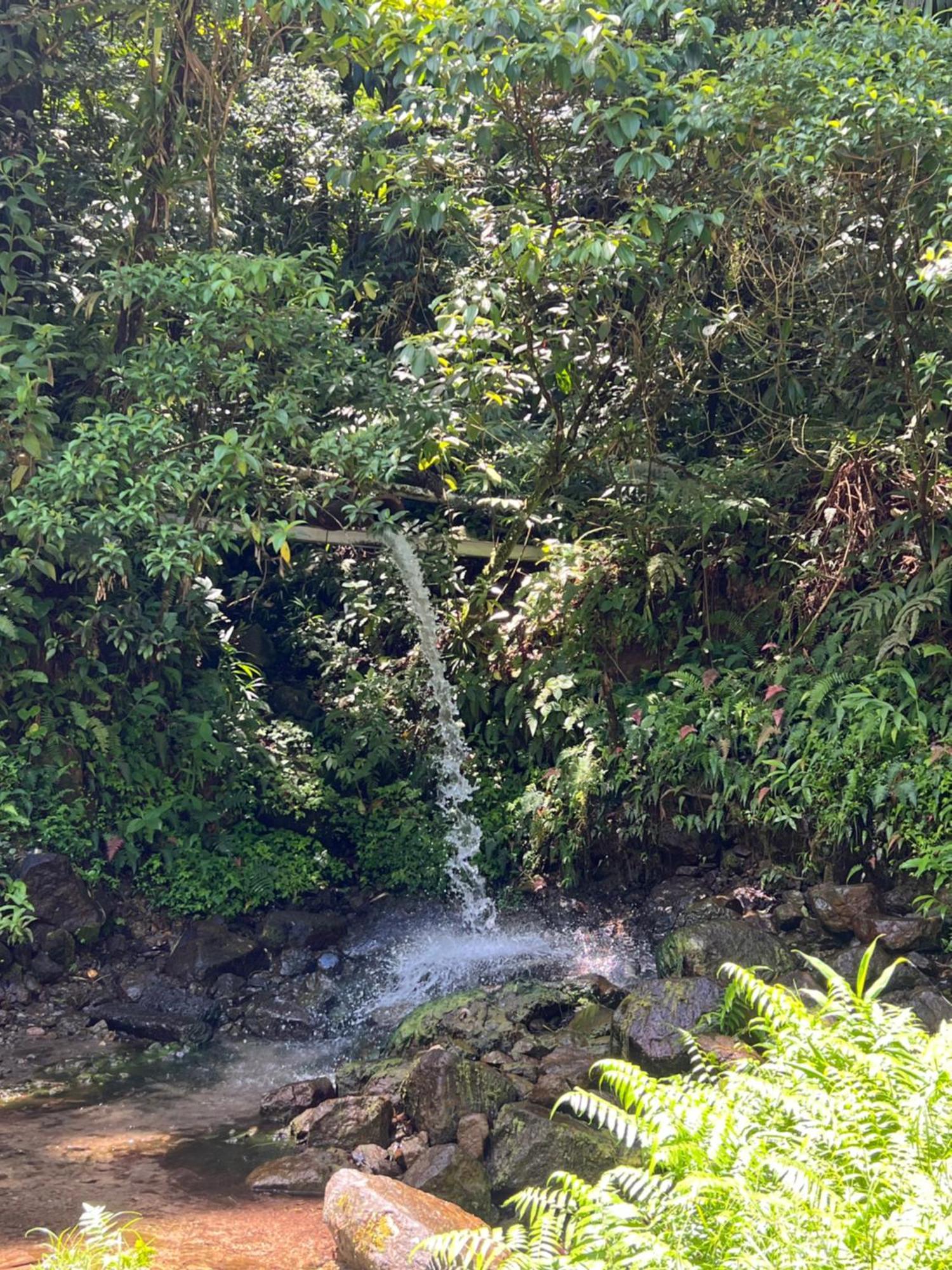 Le Ketmie Nature Et Decouverte Fond-Saint-Denis Exteriér fotografie