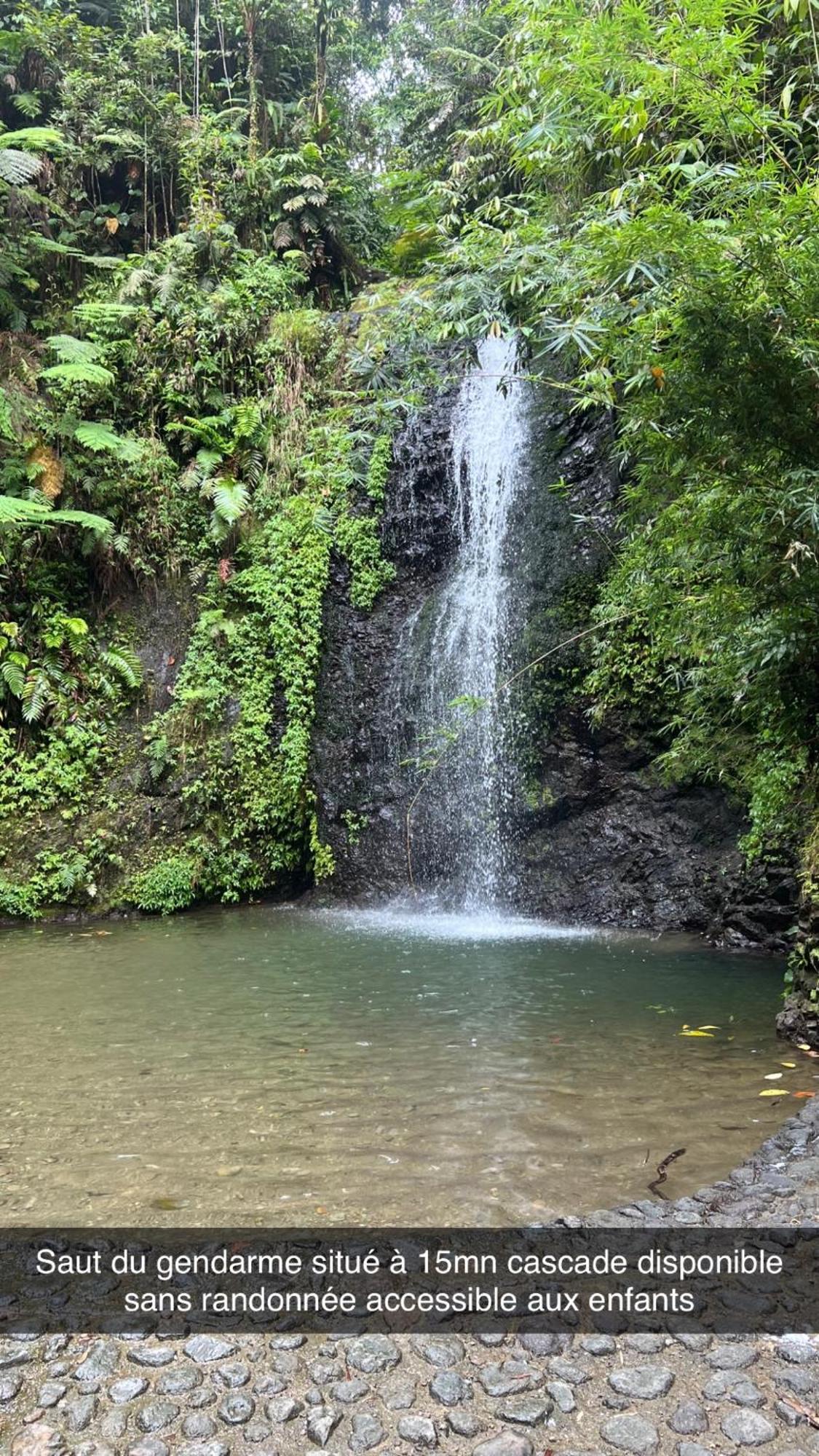 Le Ketmie Nature Et Decouverte Fond-Saint-Denis Exteriér fotografie