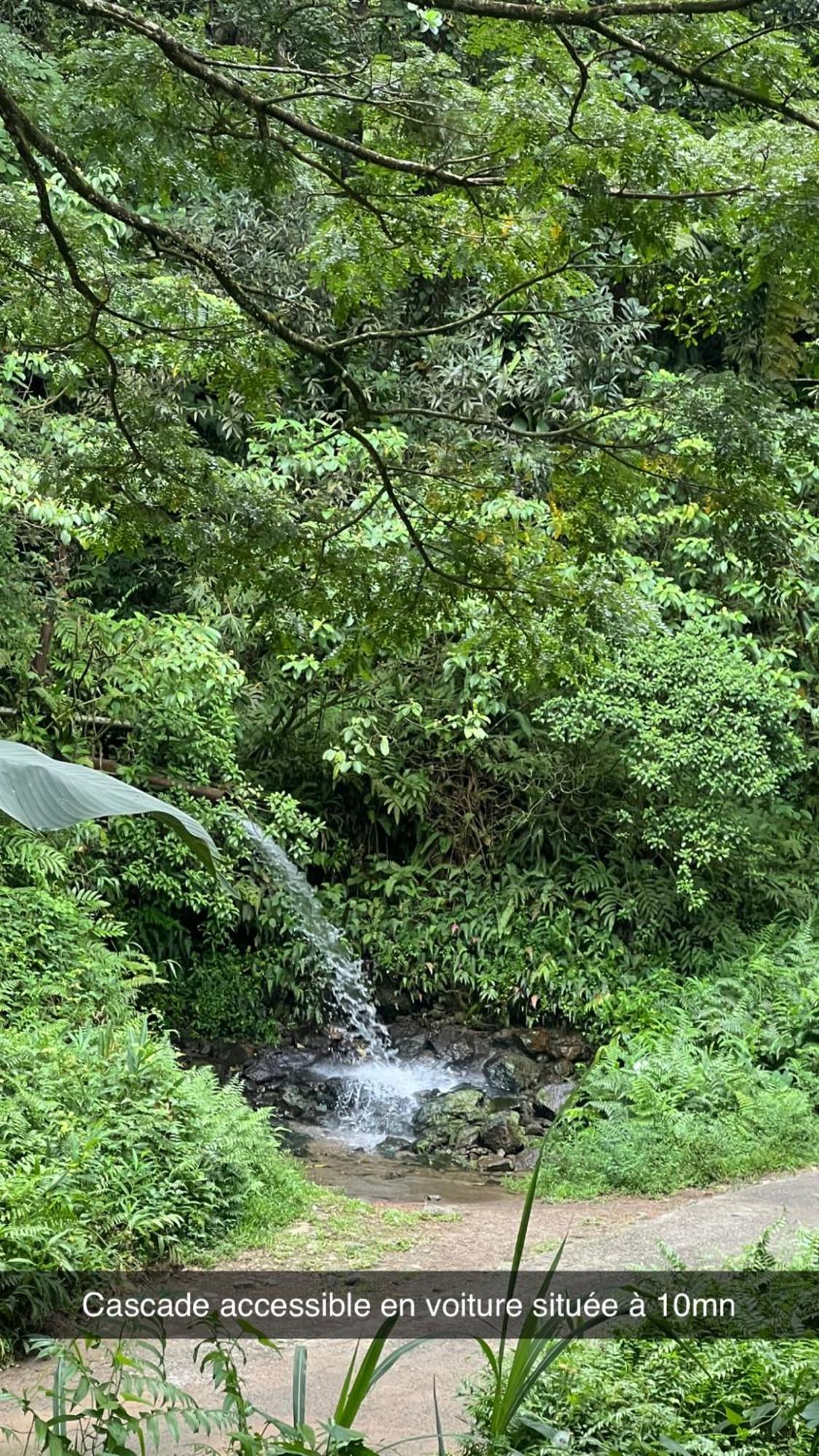 Le Ketmie Nature Et Decouverte Fond-Saint-Denis Exteriér fotografie