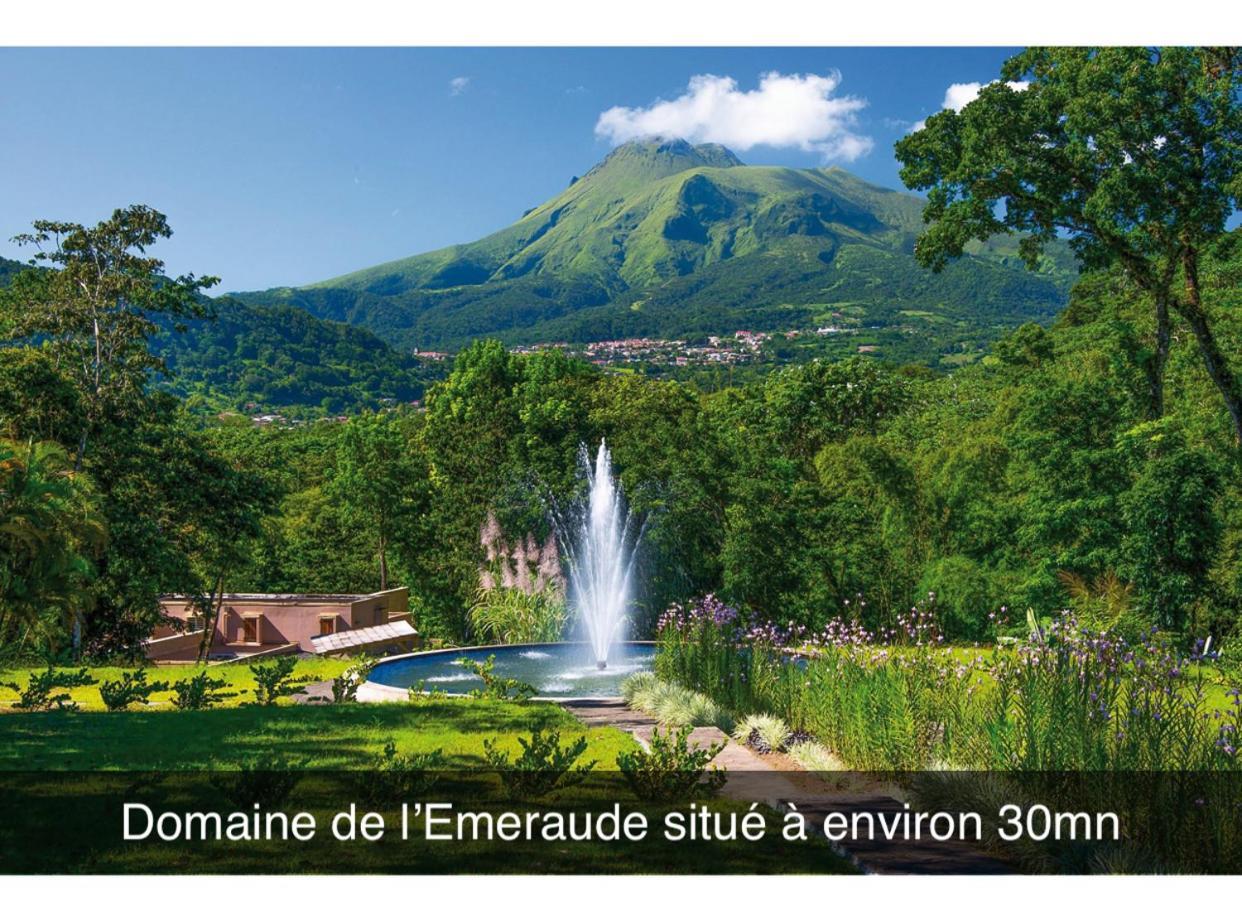 Le Ketmie Nature Et Decouverte Fond-Saint-Denis Exteriér fotografie